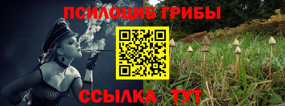 Меф   Каннабис  Кокаин  Долгопрудный  Вход с VPN  ГАШИШ 