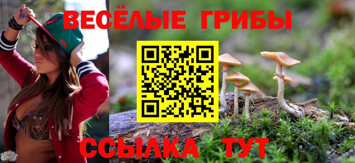 Галлюциногенные грибы Psilocybine cubensis Долгопрудный