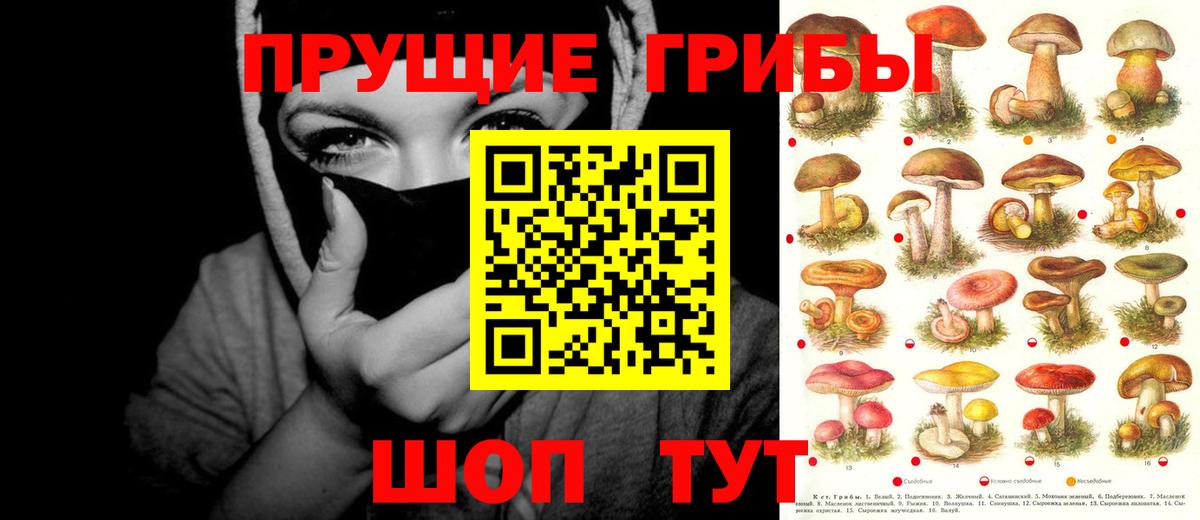 Долгопрудный  Галлюциногенные грибы GOLDEN TEACHER  Псилоцибиновые грибы Cubensis  Вход с VPN 
